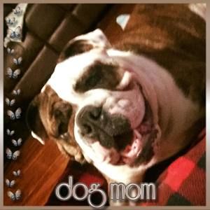 Meet your Posher, Candi